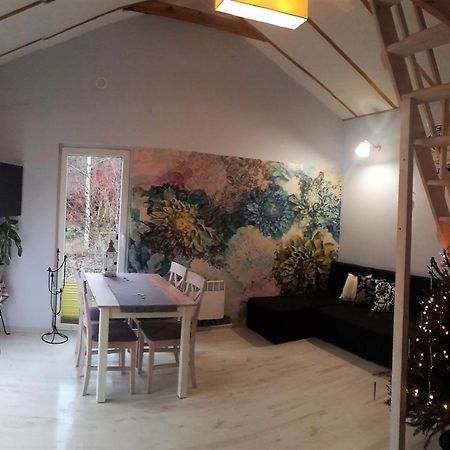 Domek Nad Jeziorem Osieczna Extérieur photo